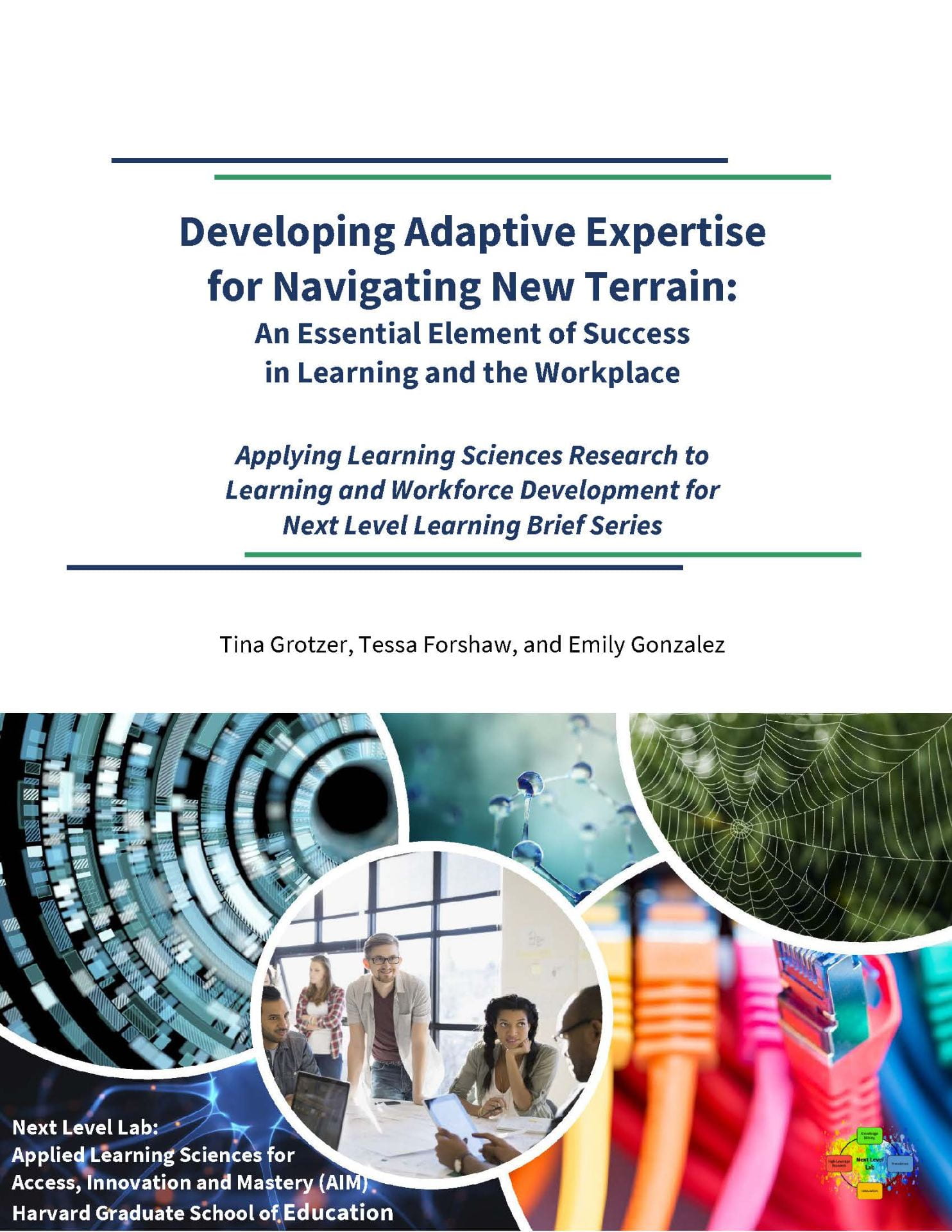 Developing Adaptive Expertise for Navigating New Terrain: An Essential Element of Success in Learning and the Workplace